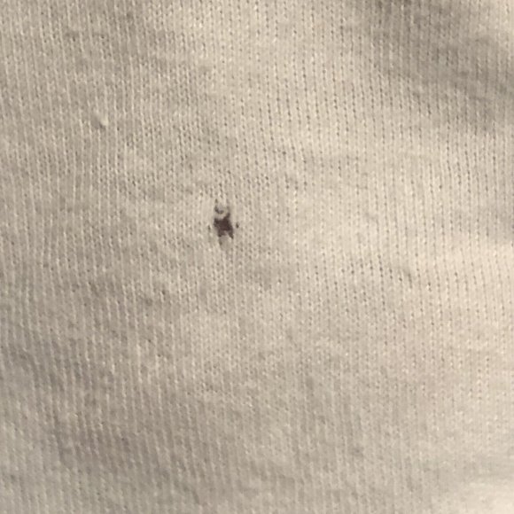 Dragon Ball Z Bird Studio Toei Animation White Graphic Shirt Men Size Medium - Picture 9 of 12